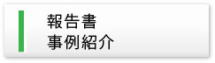 報告書・事例紹介